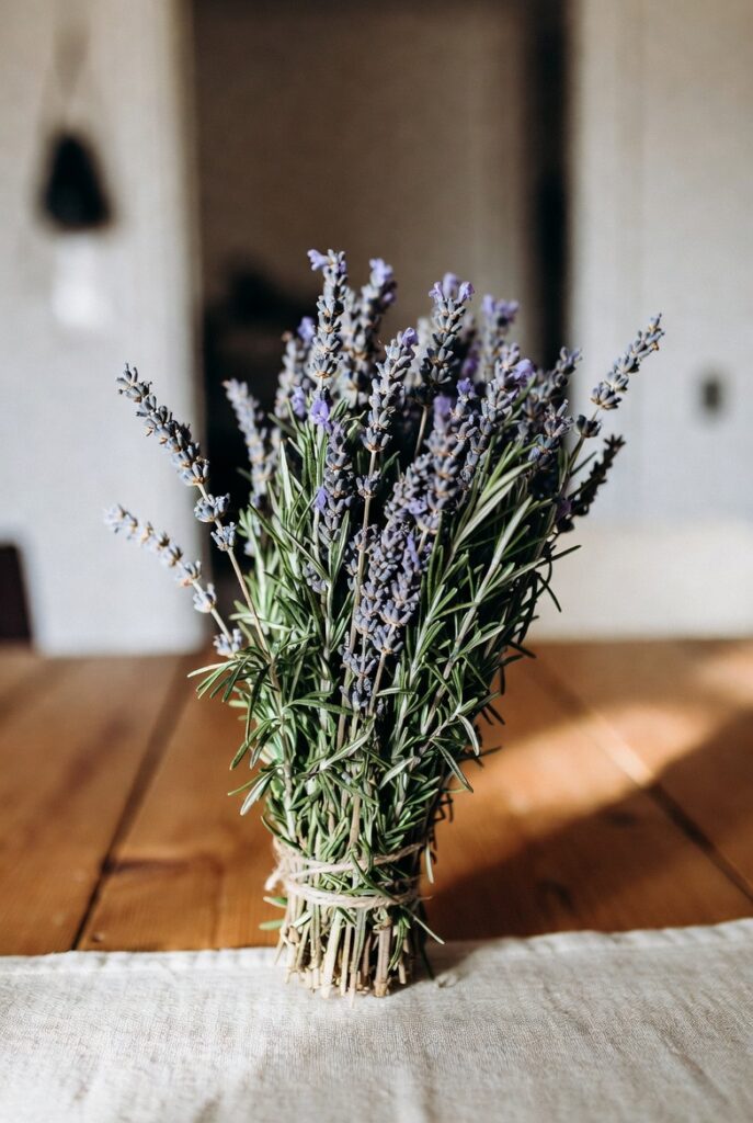 defumação sala formigas significado espiritual limpeza energética