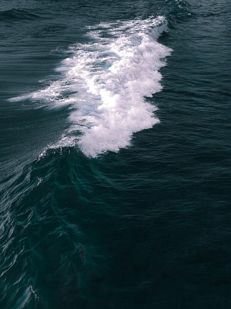 sonhar com mar psicologia jung inconsciente emoções profundidade