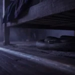 cobra enrolada na penumbra embaixo de uma cama, sonhar com cobra